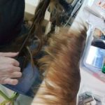 w_donacion-pelucas-7-225×300