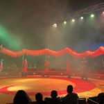 CIRCO46